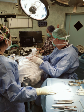 Slider image (10) Assoc. Prof. Dr. Tolga Turan D